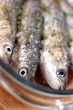 sea fish-fish cooked-sushi-meditterranean fish sea fish-fish cooked-sushi-meditterranean fish