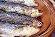 sea fish-fish cooked-sushi-meditterranean fish sea fish-fish cooked-sushi-meditterranean fish