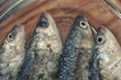 sea fish-fish cooked-sushi-meditterranean fish sea fish-fish cooked-sushi-meditterranean fish