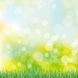 green grass background