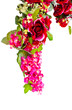 Beautiful floral isolated Beautiful floral isolated