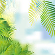 tropical leaves background
