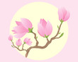 magnolia