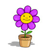 Funny flower Funny flower