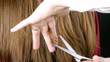 Closeup of long wet hair beeing cut