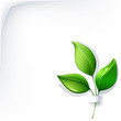 ecological background ecological background