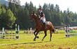 Springreiterin