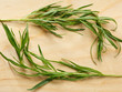 Tarragon twigs composition