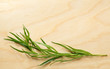 Tarragon twig