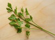 Parsley twigs