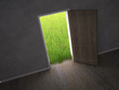 door leading to a green meadow