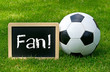 Fussball Fan - Soccer Fan