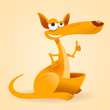Kangaroo Animal Illustration