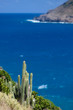 île Chevreau à Saint Barthélémy