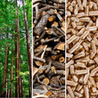Wood pellet production