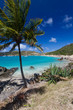 Anse à Colombier à Saint Barthélémy