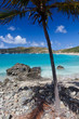 Anse à Colombier à Saint Barthélémy