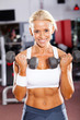 fitness woman exercising with dumbbells in gym fitness woman exercising with dumbbells in gym