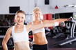 fitness woman exercising with dumbbells in gym fitness woman exercising with dumbbells in gym