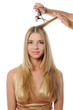 Stylist updo young blonde woman Stylist updo young blonde woman