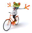 canvas print picture - Grenouille docteur