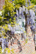 house with flowers, Nord-Pas-de-Calais, France house with flowers, Nord-Pas-de-Calais, France