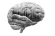Barcode on brain