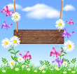 Signboard on the meadow with daisies