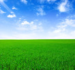 A fényképek részletei Field
