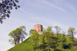Vilnius history heart - tower of Gediminas