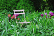 Historic Garden Chair in German House Garden