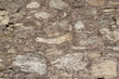 IMG_00732 copy IMG_00732 copy