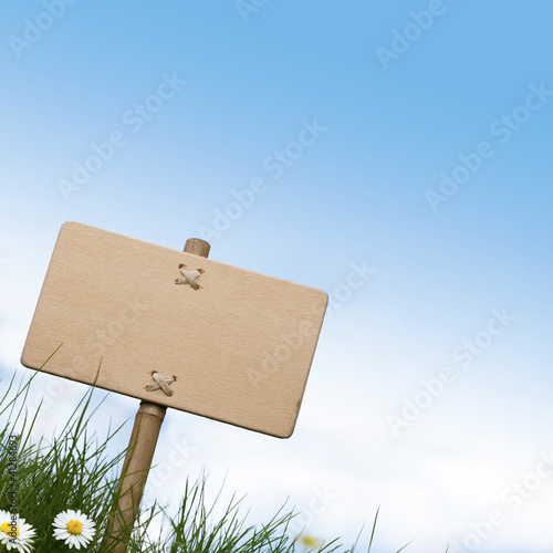 Foto: blank wooden sign, grass and daisies flowers blank wooden sign, grass and daisies flowers