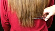 Long hair beeing cut by hairdesser