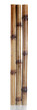 dry bamboo sticks isolated on white