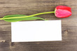 Beautiful tulip and card on wooden background Beautiful tulip and card on wooden background
