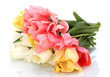 beautiful tulips isolated on white. beautiful tulips isolated on white.