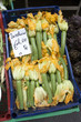 Fleurs de courgettes