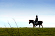 ponyreiterin auf dem deich