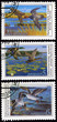 Two mallards in flight, postage stamp of the USSR