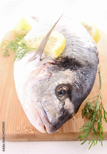 Photo: raw fish raw fish