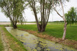 canale di irrigazione nella pianura veneta