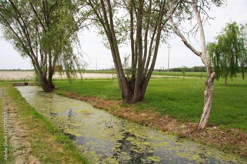 Photo: canale di irrigazione nella pianura veneta canale di irrigazione nella pianura veneta