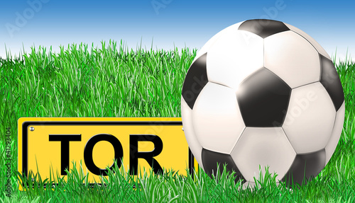 Illustration: Fussball auf Rasen Fussball auf Rasen