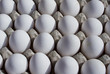 eier