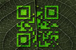 organic QR-code
