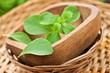 Stevia