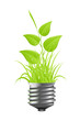 Light bulb with plant and grass