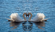 Swans hearth