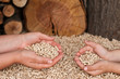 Pellets